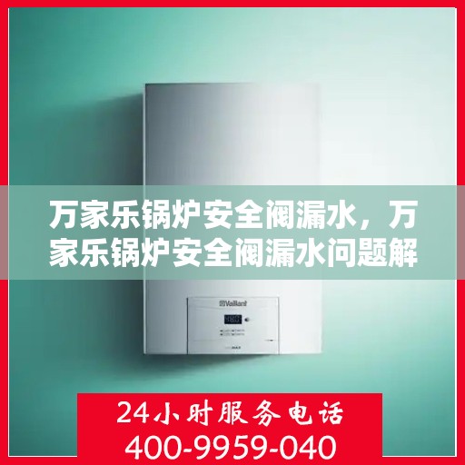 万家乐锅炉安全阀漏水，万家乐锅炉安全阀漏水问题解析