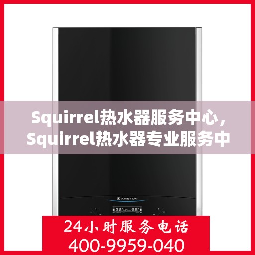 Squirrel热水器服务中心，Squirrel热水器专业服务中心，全方位维修与保养解决方案