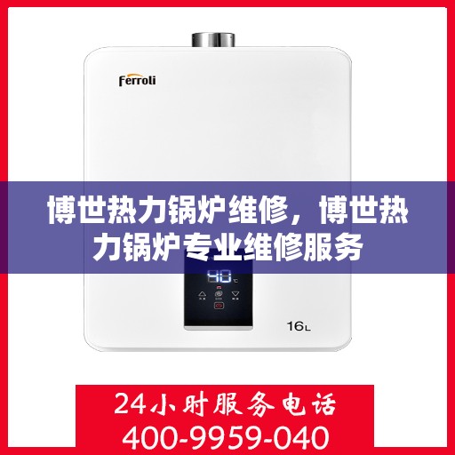 博世热力锅炉维修，博世热力锅炉专业维修服务