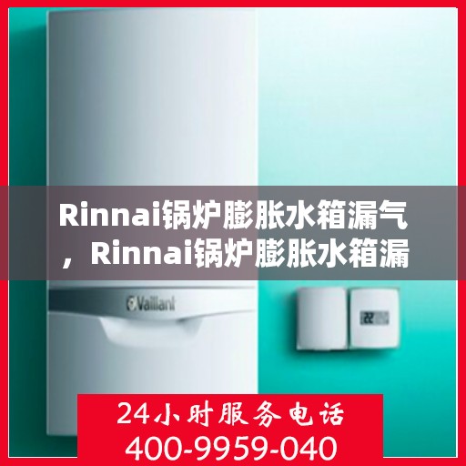 Rinnai锅炉膨胀水箱漏气,Rinnai锅炉膨胀水箱漏气问题及解决方案 Rinnai锅炉膨胀水箱漏气,Rinnai锅炉膨胀水箱漏气问题及解决方案
