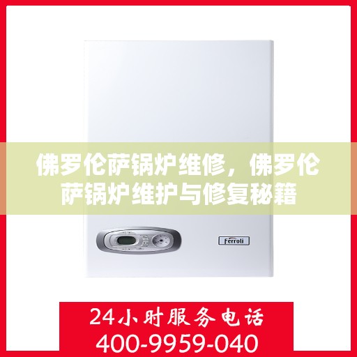 佛罗伦萨锅炉维修,佛罗伦萨锅炉维护与修复秘籍 佛罗伦萨锅炉维修,佛罗伦萨锅炉维护与修复秘籍