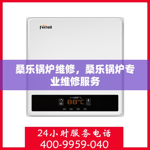 桑乐锅炉维修，桑乐锅炉专业维修服务