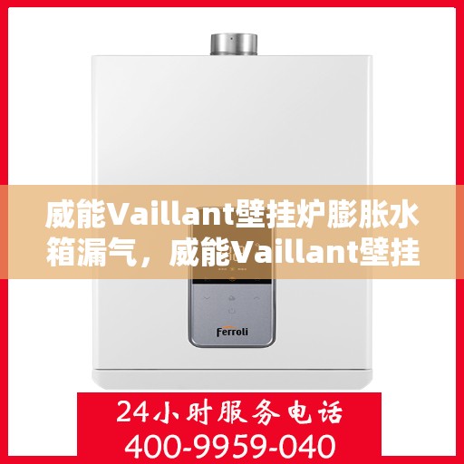 威能Vaillant壁挂炉膨胀水箱漏气，威能Vaillant壁挂炉膨胀水箱漏气问题解析