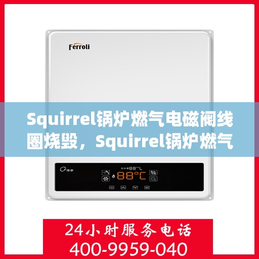 Squirrel锅炉燃气电磁阀线圈烧毁，Squirrel锅炉燃气电磁阀线圈烧毁原因分析及解决方案