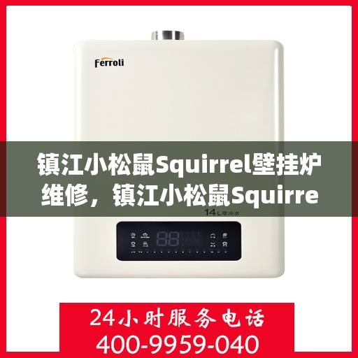 镇江小松鼠Squirrel壁挂炉维修，镇江小松鼠Squirrel壁挂炉专业维修与保养指南