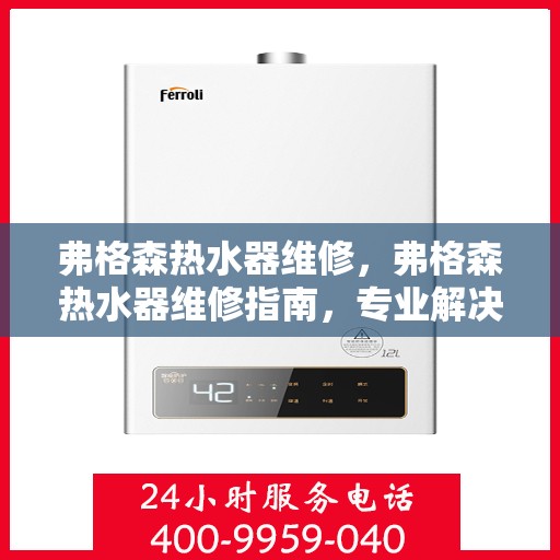 弗格森热水器维修，弗格森热水器维修指南，专业解决故障，保障热水供应