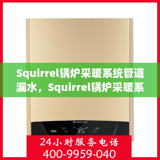 Squirrel锅炉采暖系统管道漏水，Squirrel锅炉采暖系统管道漏水问题及应对方案