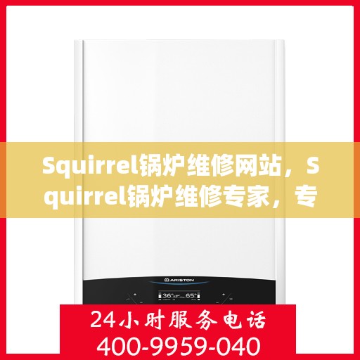 Squirrel锅炉维修网站，Squirrel锅炉维修专家，专业在线服务，一站式解决您的锅炉维修问题