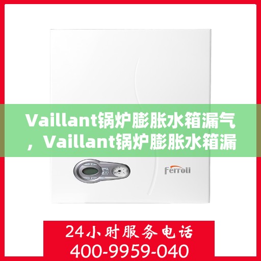 Vaillant锅炉膨胀水箱漏气，Vaillant锅炉膨胀水箱漏气，原因与解决方案探讨