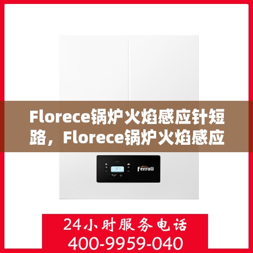 Florece锅炉火焰感应针短路，Florece锅炉火焰感应针短路问题解析