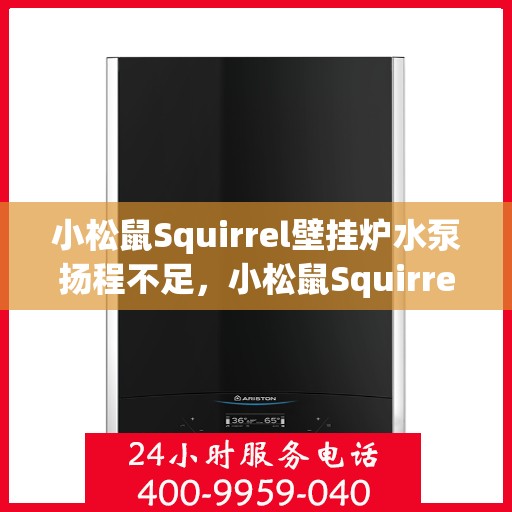 小松鼠Squirrel壁挂炉水泵扬程不足，小松鼠Squirrel壁挂炉水泵扬程不足问题解析与解决方案