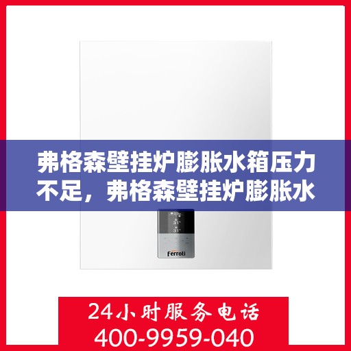 弗格森壁挂炉膨胀水箱压力不足,弗格森壁挂炉膨胀水箱压力不足,原因解析与解决方案 弗格森壁挂炉膨胀水箱压力不足,弗格森壁挂炉膨胀水箱压力不足,原因解析与解决方案