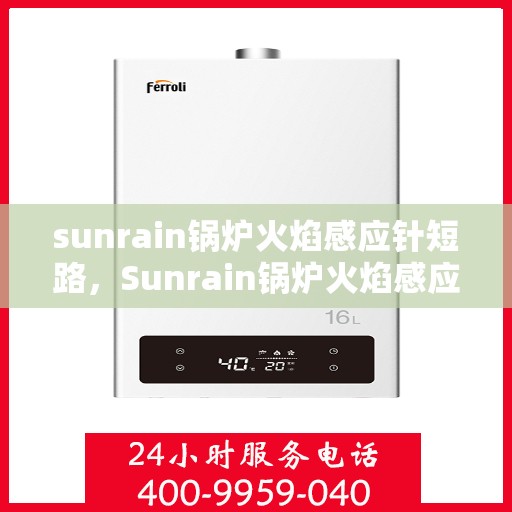 sunrain锅炉火焰感应针短路，Sunrain锅炉火焰感应针短路问题解析