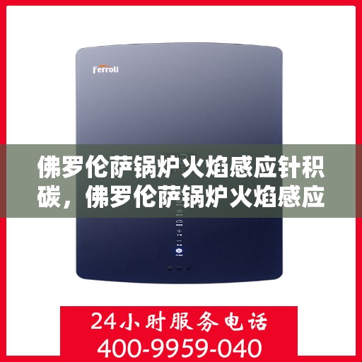 佛罗伦萨锅炉火焰感应针积碳，佛罗伦萨锅炉火焰感应针积碳问题解析与应对策略