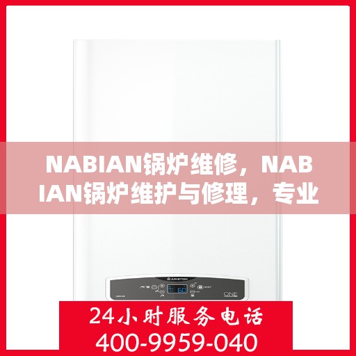 NABIAN锅炉维修，NABIAN锅炉维护与修理，专业解决方案