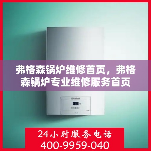 弗格森锅炉维修首页，弗格森锅炉专业维修服务首页