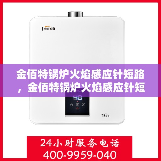 金佰特锅炉火焰感应针短路,金佰特锅炉火焰感应针短路问题解析 金佰特锅炉火焰感应针短路,金佰特锅炉火焰感应针短路问题解析