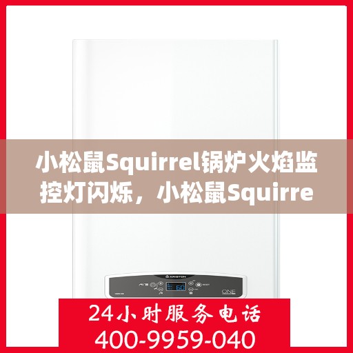 小松鼠Squirrel锅炉火焰监控灯闪烁,小松鼠Squirrel锅炉火焰监控灯闪烁,原因解析与解决方案 小松鼠Squirrel锅炉火焰监控灯闪烁,小松鼠Squirrel锅炉火焰监控灯闪烁,原因解析与解决方案