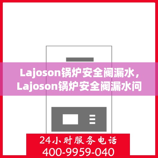 Lajoson锅炉安全阀漏水，Lajoson锅炉安全阀漏水问题解析