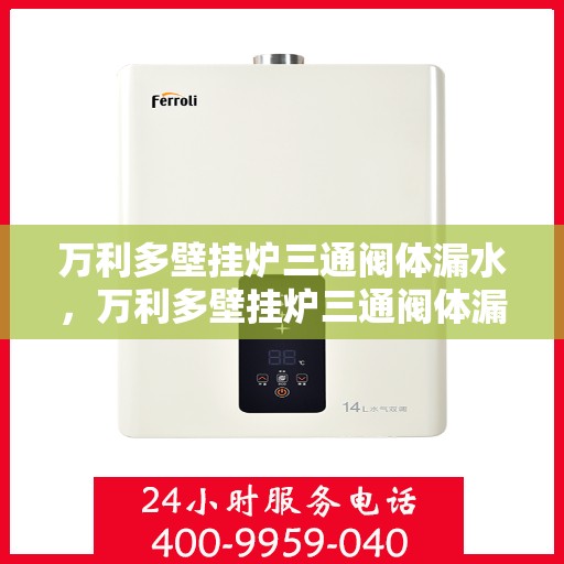 万利多壁挂炉三通阀体漏水，万利多壁挂炉三通阀体漏水问题及解决方案探究