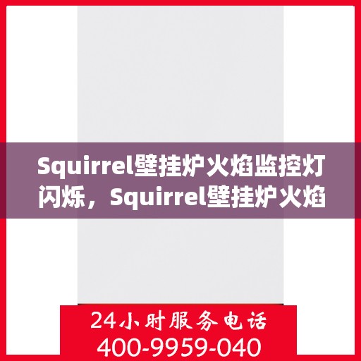 Squirrel壁挂炉火焰监控灯闪烁，Squirrel壁挂炉火焰监控灯闪烁原因解析与应对指南