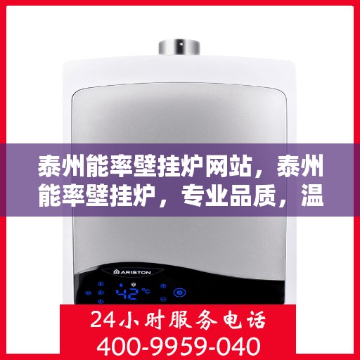 泰州能率壁挂炉网站，泰州能率壁挂炉，专业品质，温暖您家的首选之站