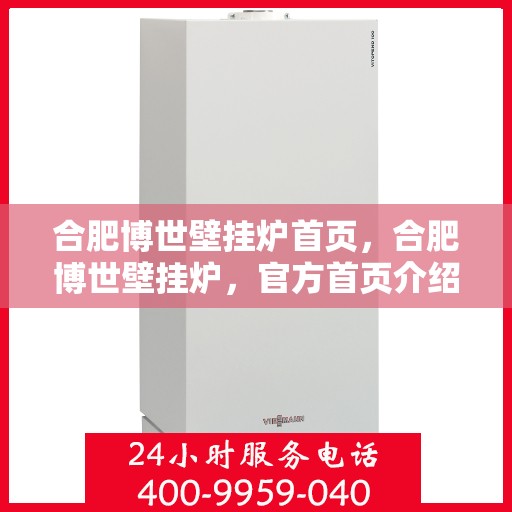 合肥博世壁挂炉首页，合肥博世壁挂炉，官方首页介绍