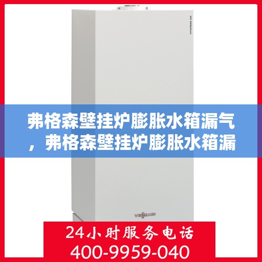 弗格森壁挂炉膨胀水箱漏气，弗格森壁挂炉膨胀水箱漏气问题及解决方案探讨