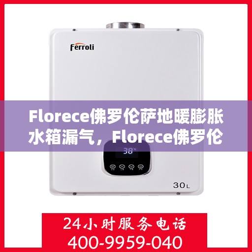 Florece佛罗伦萨地暖膨胀水箱漏气，Florece佛罗伦萨地暖膨胀水箱漏气，原因与解决方案探讨