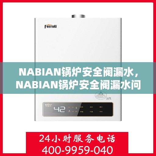 NABIAN锅炉安全阀漏水，NABIAN锅炉安全阀漏水问题解析