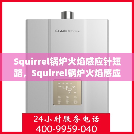 Squirrel锅炉火焰感应针短路，Squirrel锅炉火焰感应针短路问题解析