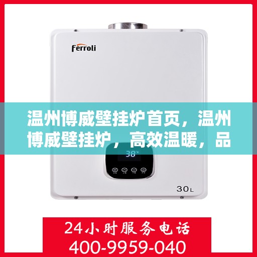 温州博威壁挂炉首页，温州博威壁挂炉，高效温暖，品质首选的首页展示
