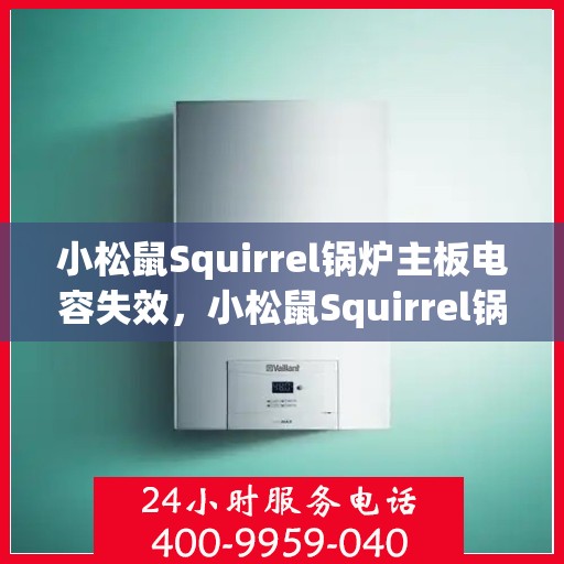 小松鼠Squirrel锅炉主板电容失效，小松鼠Squirrel锅炉主板电容失效问题及解决方案探索